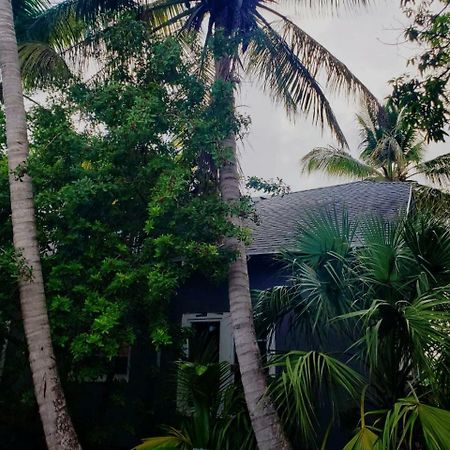 Old Cottage House Miami Bagian luar foto
