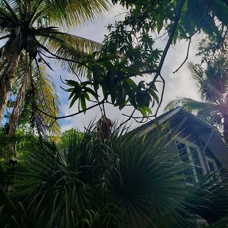 Old Cottage House Miami Bagian luar foto