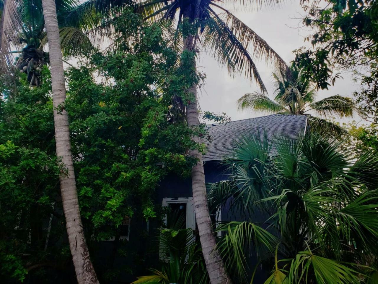 Old Cottage House Miami Bagian luar foto